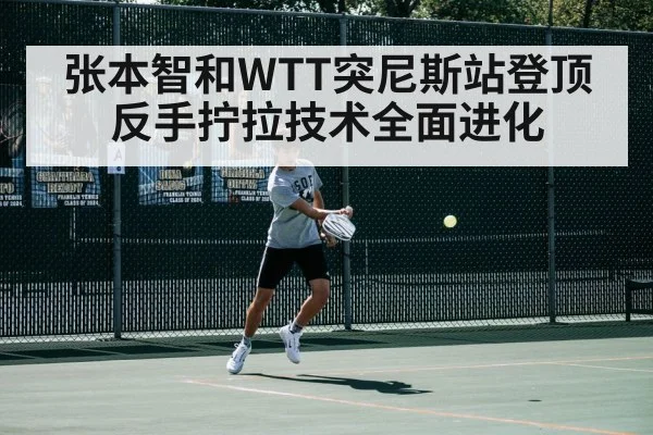张本智和WTT突尼斯站登顶 反手拧拉技术全面进化